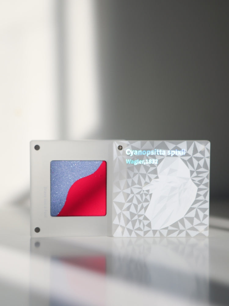 Endangered Species Blusher Duo 5.5g