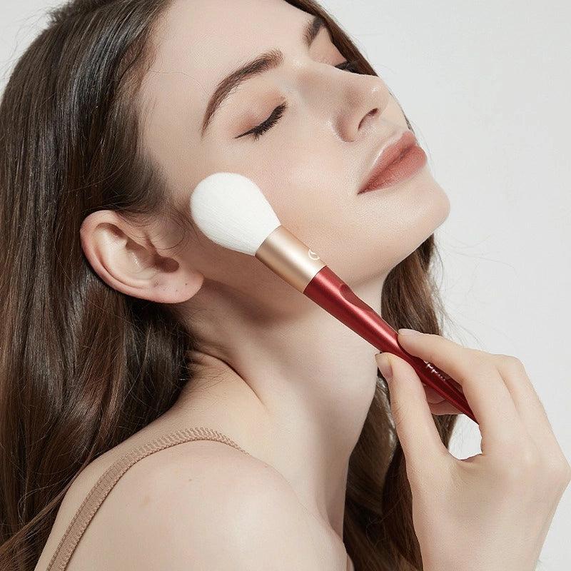 Beauty Face 10 Brushes Set