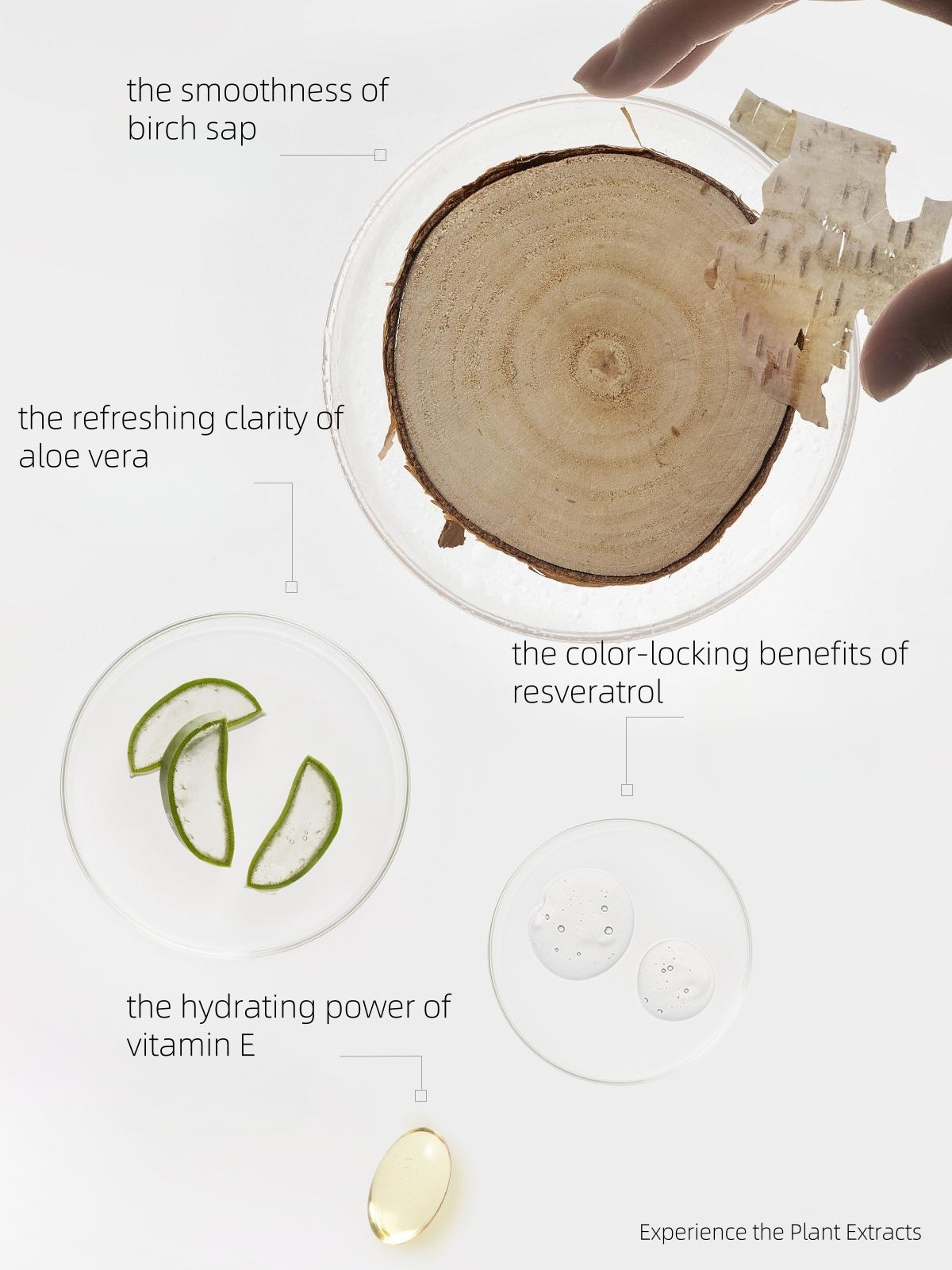 Funny Elves Translucent Traceless Pressed Setting Powder 7g