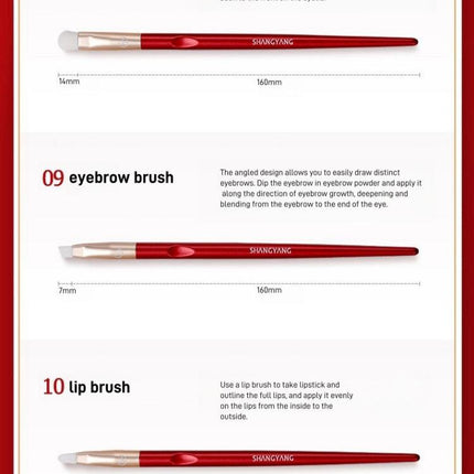 Shang Yang - Beauty Face 10 Brushes Set